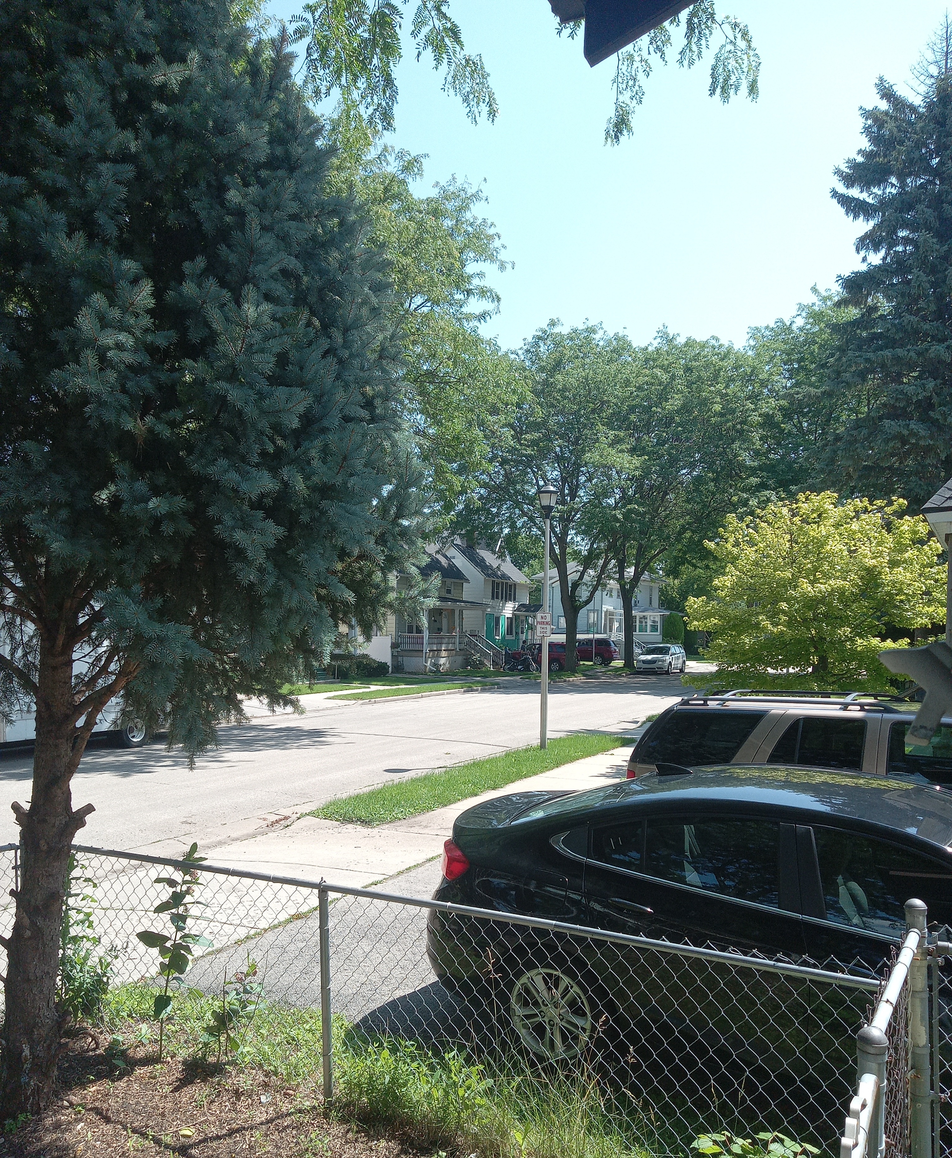 Curb Appeal Revival